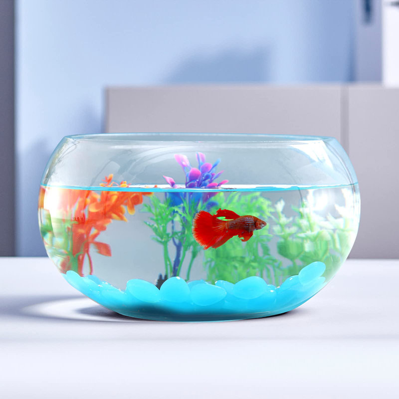 1 gallon fish tank cheap